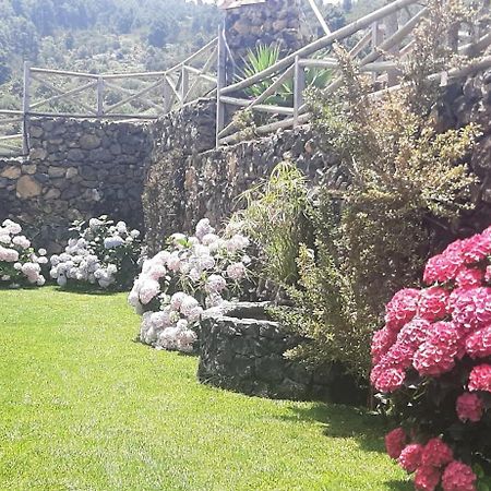 Casas Rurales Los Guinderos Icod De Los Vinos Buitenkant foto