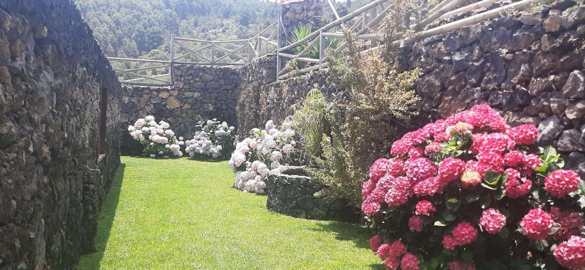 Casas Rurales Los Guinderos Icod De Los Vinos Buitenkant foto